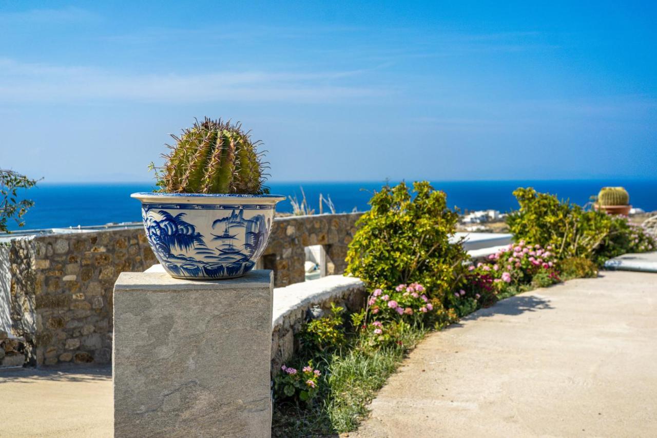 Oniropetra Mykonos Appartement Plintri